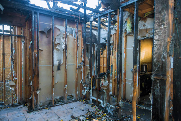 Professional Odor Removal technician working in Titusville, NJ