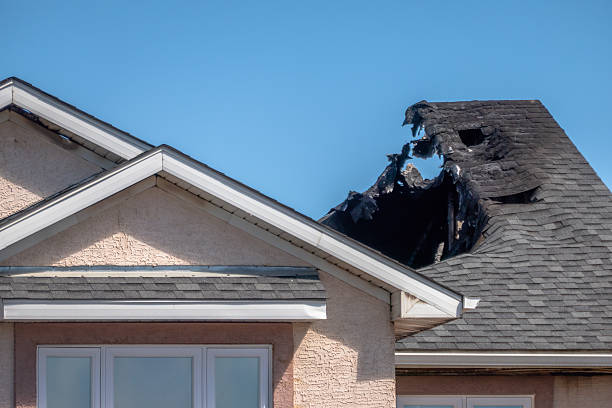 Top rated local Odor Removal specialists in Titusville, NJ
